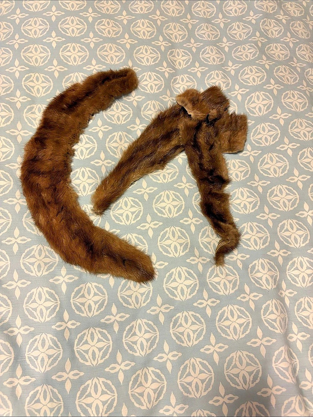Vintage Genuine Fur Collar & Trim Lot Brown Mink Craft Repurpose
